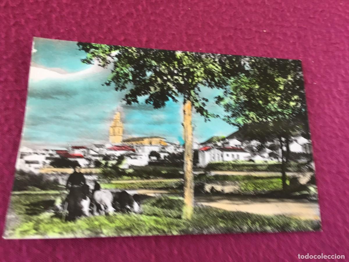 Postales: ENGUERA (Valencia) Postal Iluminada No.40, Vista de la Carretera de circunvalaci&oacute;n. Foto J. Barberan