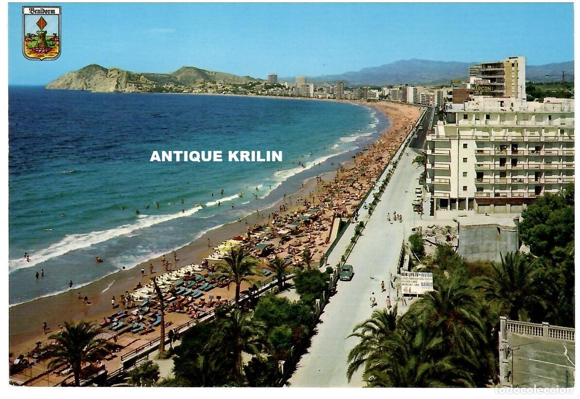 Postales: BENIDORM / PLAYA DE PONIENTE / EDICION ZERKOWITZ SERIE 104 N&ordm; 5 / SIN FRANQUEAR