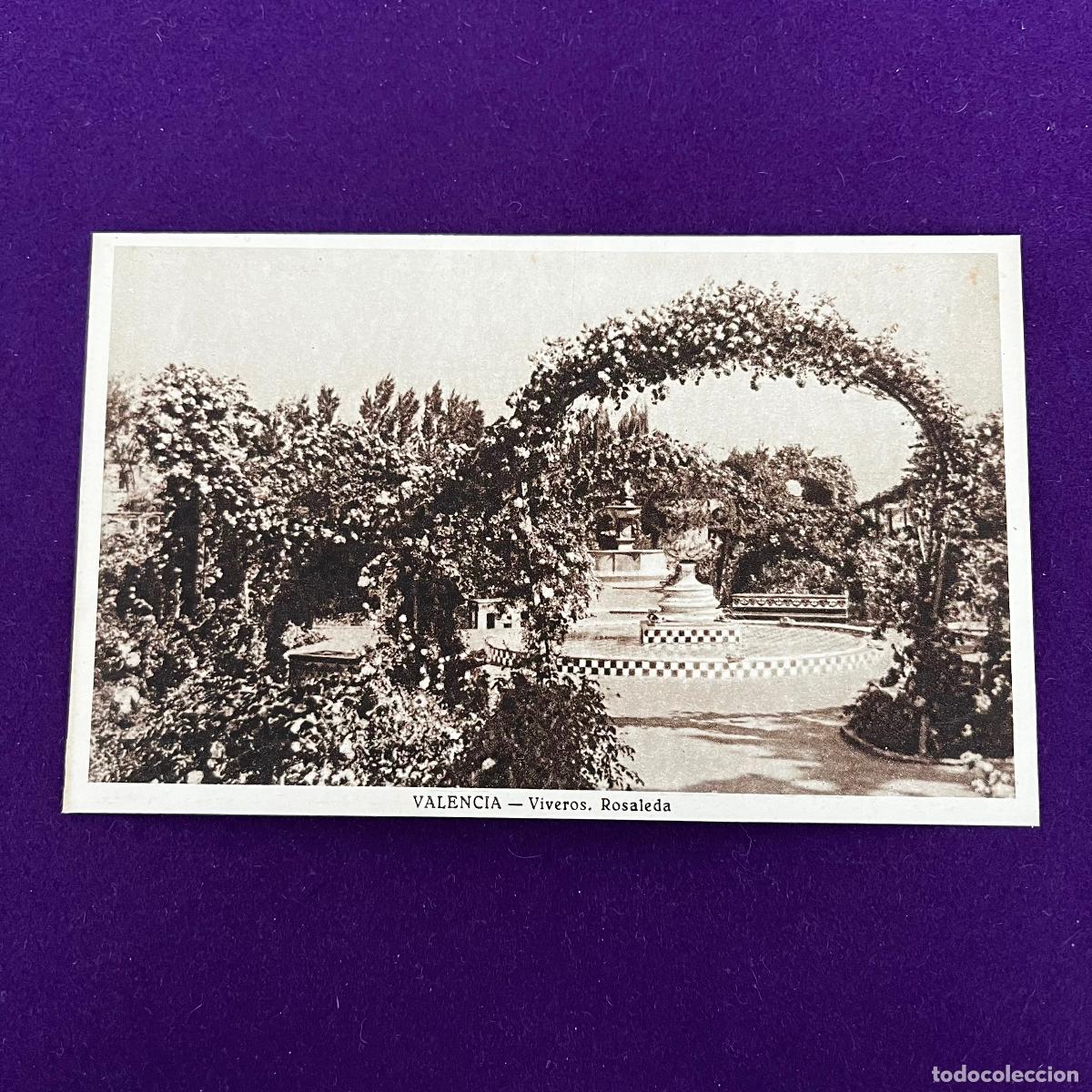 Cartes Postales: POSTAL DE VALENCIA. VIVEROS. ROSALEDA.