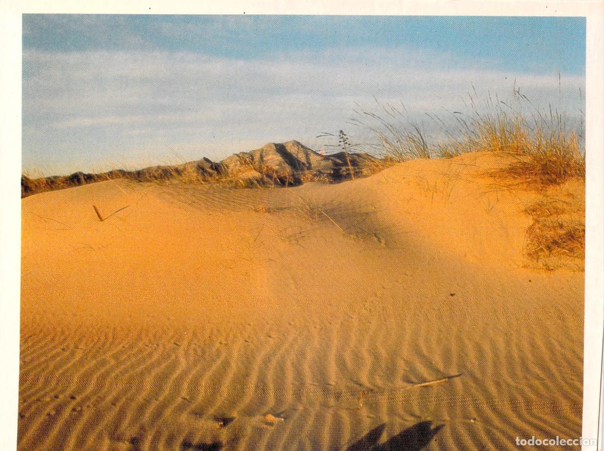 Postais: Postal de las Dunas de Gandia, Valencia - Paisaje Natural