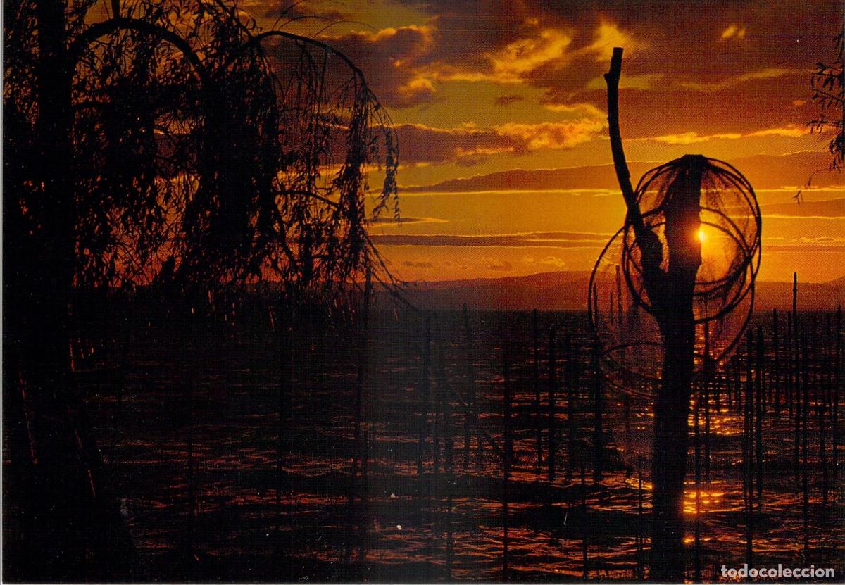 Postales: Postal de Valencia - Puesta de Sol en la Albufera
