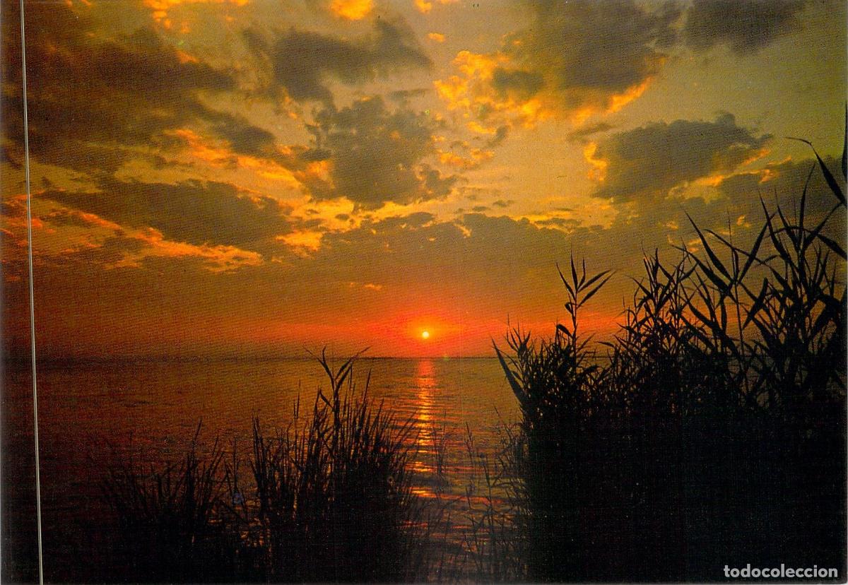 Postales: Postal de la Puesta de Sol en la Albufera de Valencia
