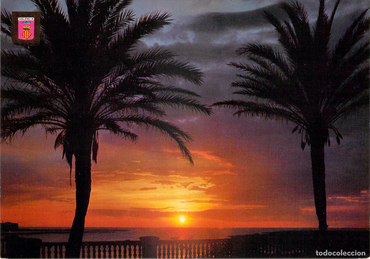 Postales: Postal de Valencia Atardecer en la Albufera con Palmeras