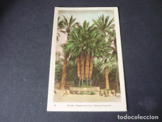Cartes Postales: ELCHE ALICANTE HUERTO DEL CURA PALMERA IMPERIAL