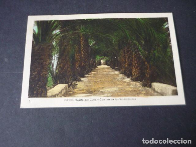 Cartes Postales: ELCHE ALICANTE HUERTO DEL CURA CAMINO DE LAS SALOMONICAS