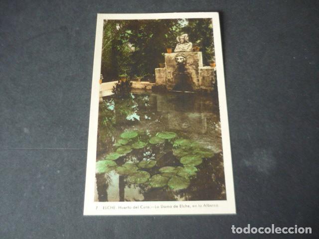Cartes Postales: ELCHE ALICANTE HUERTO DEL CURA LA DAMA DE ELCHE EN LA ALBERCA