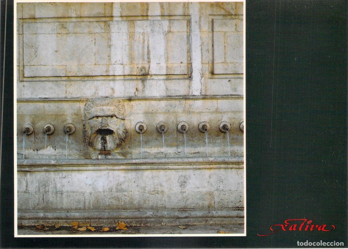 Postales: Postal Detalle de la Fuente de los 25 Ca&ntilde;os, X&agrave;tiva, Valencia