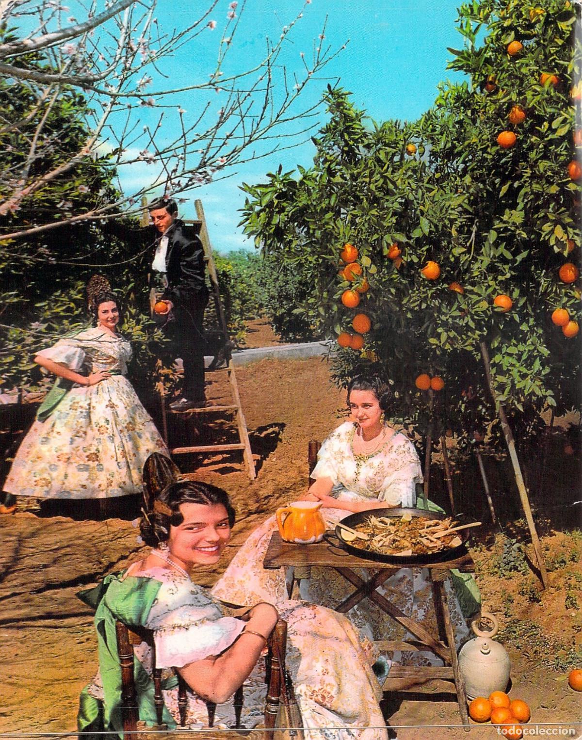 Postales: Postal de Valencia: Paella en un Huerto de Naranjos con Trajes T&iacute;picos