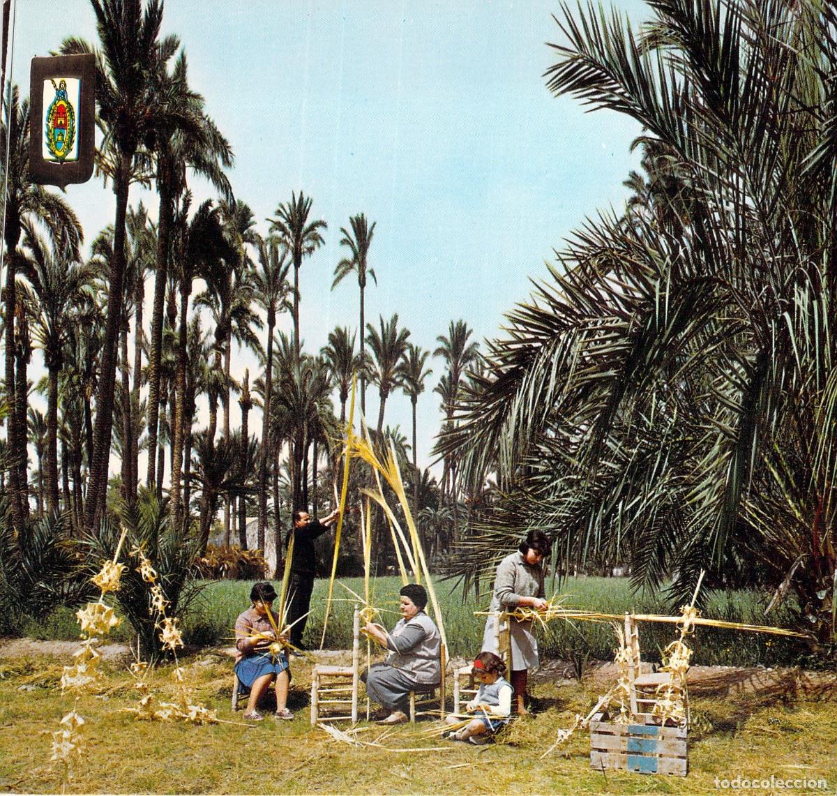 Postales: Postal Elche Confecci&oacute;n de Palmas Blancas Domingo de Ramos
