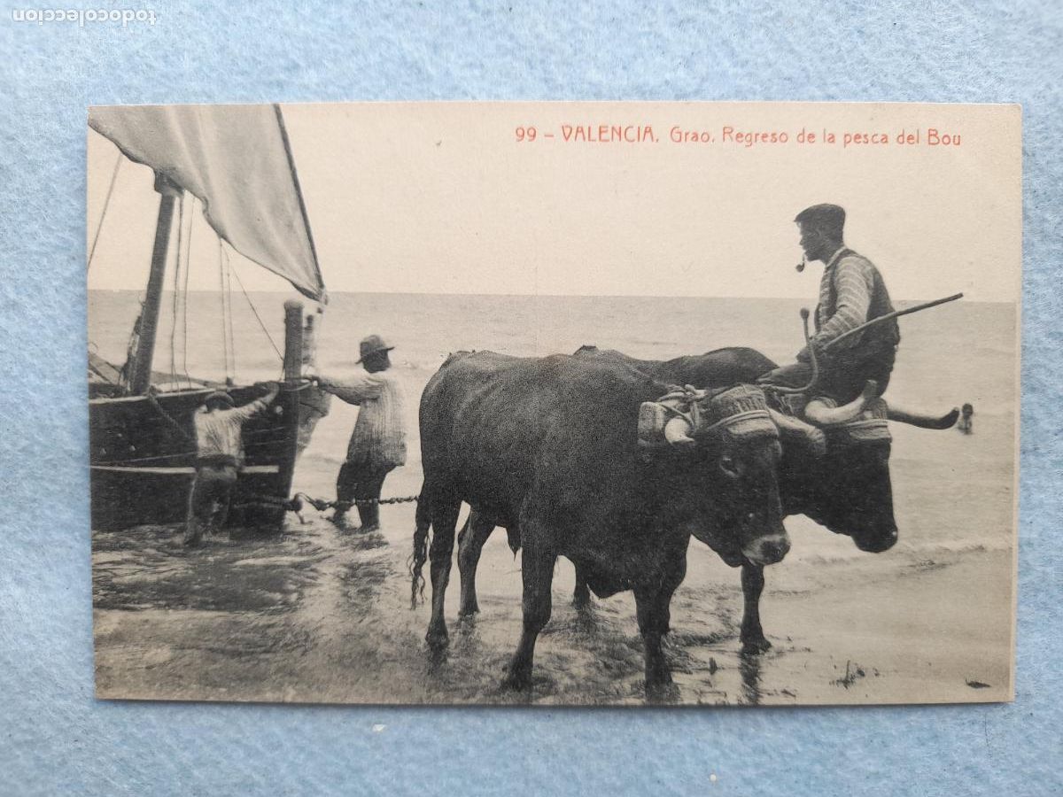 Postales: Valencia. Grao. Regreso de la Pesca del Bou.