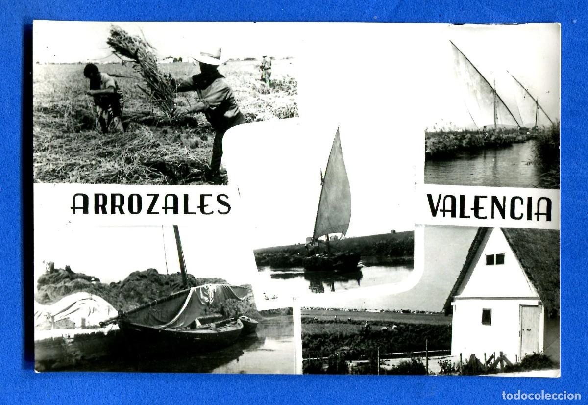 Postais: POSTAL ESCRITA PERO NO CIRCULADA ARROZALES DE VALENCIA EDITA JDP