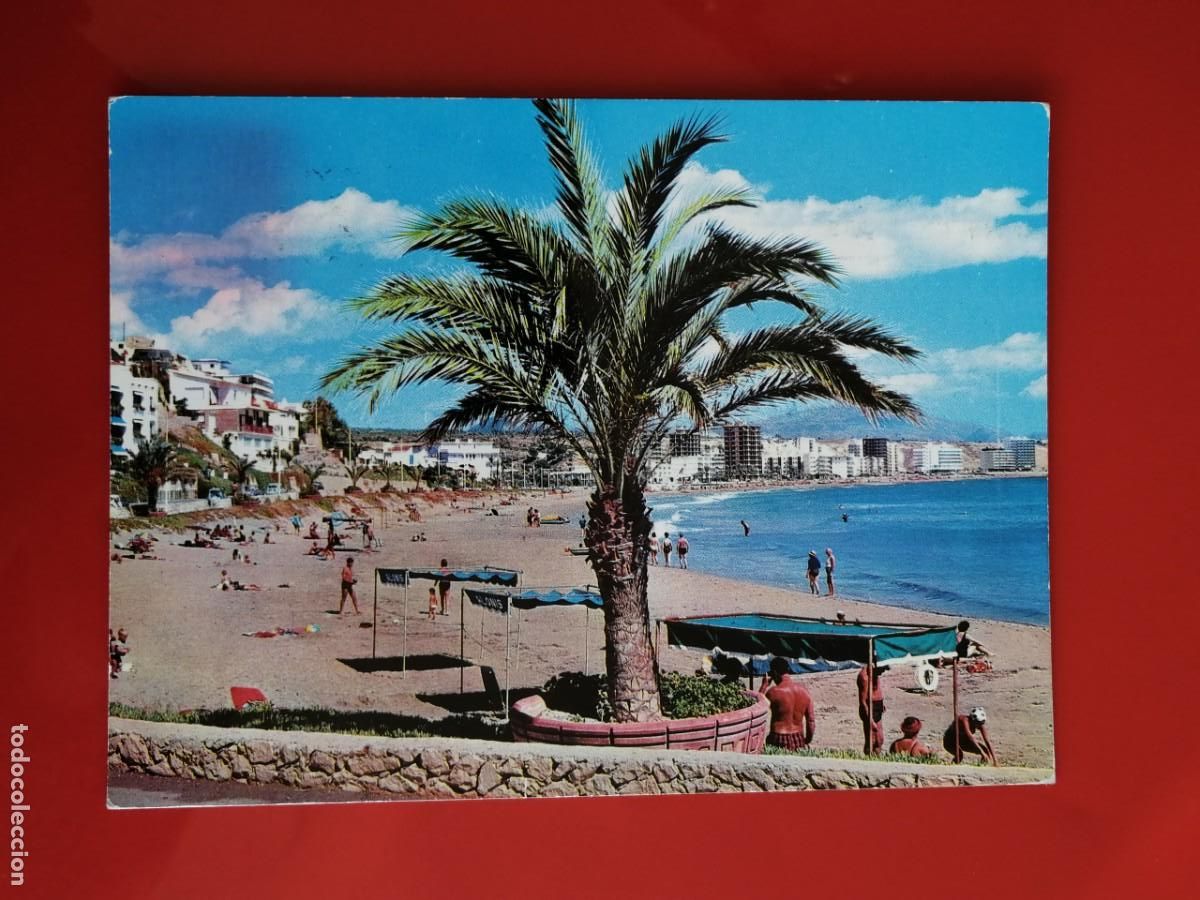 Postales: POSTAL 18514 MAT.1960S-GALIANA 49 BENIDORM ALACANT PLAYA PONIENTE