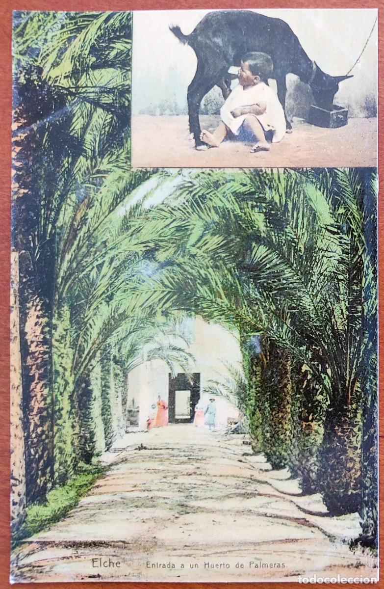 Postales: ELCHE. ENTRADA A UN HUERTO DE PALMERAS - LAMPISTER&Iacute;A ANT&Oacute;N, ELCHE