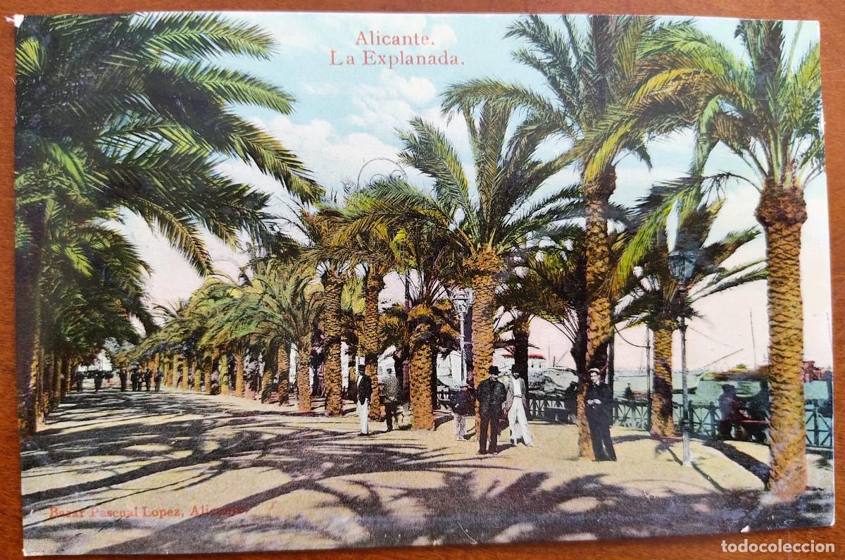 Postales: ALICANTE. LA EXPLANADA - BAZAR PASCUAL L&Oacute;PEZ, ALICANTE