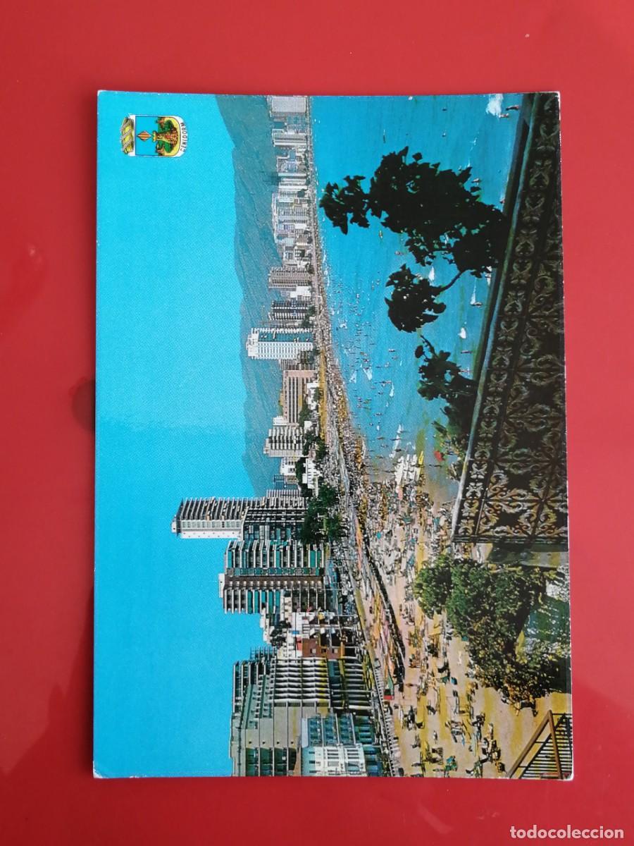 Postales: POSTAL 18519 ESCRITA-GALIANA 11 BENIDORM ALACANT PLAYA LEVANTE