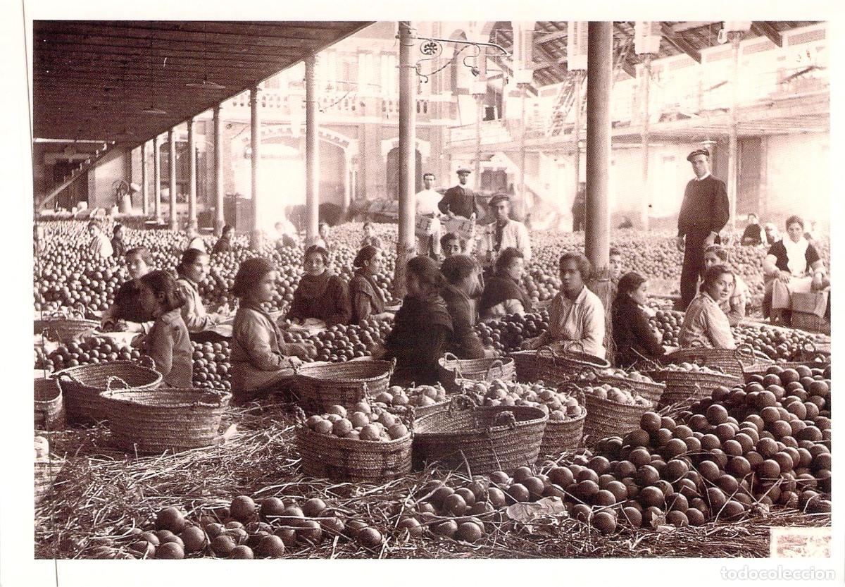 Postales: Postal de Carcaixent: Las Naranjas en el Almac&eacute;n