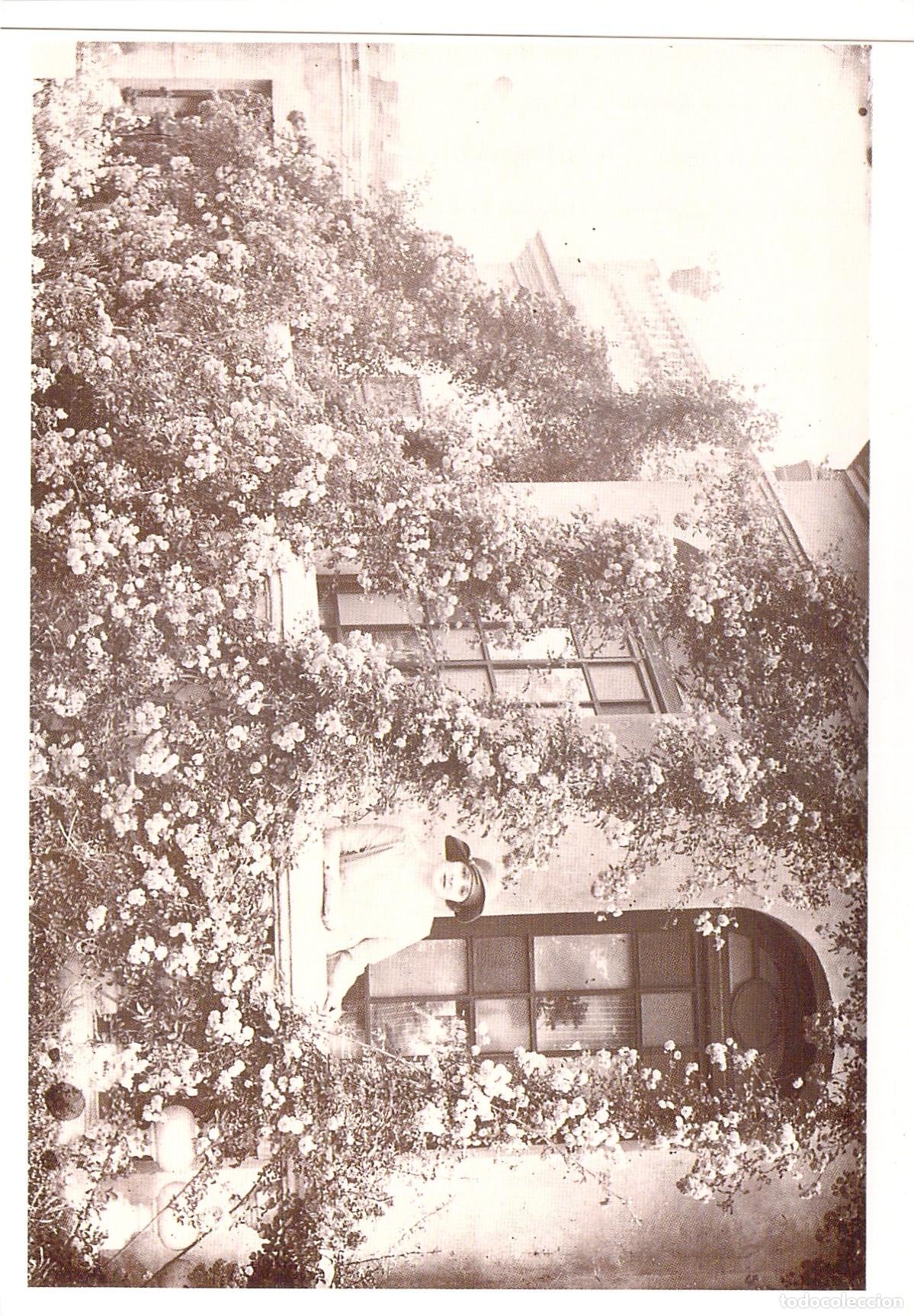 Postales: Postal de Valencia: Caseta del Jardinero en los Jardines del Real