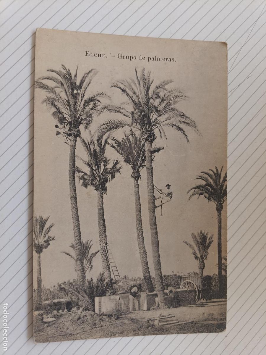 Postales: Elche. Espa&ntilde;a Monumental e Hist&oacute;rica