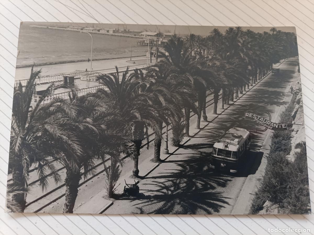 Postales: Alicante, circulada a&ntilde;os 60. Autob&uacute;s