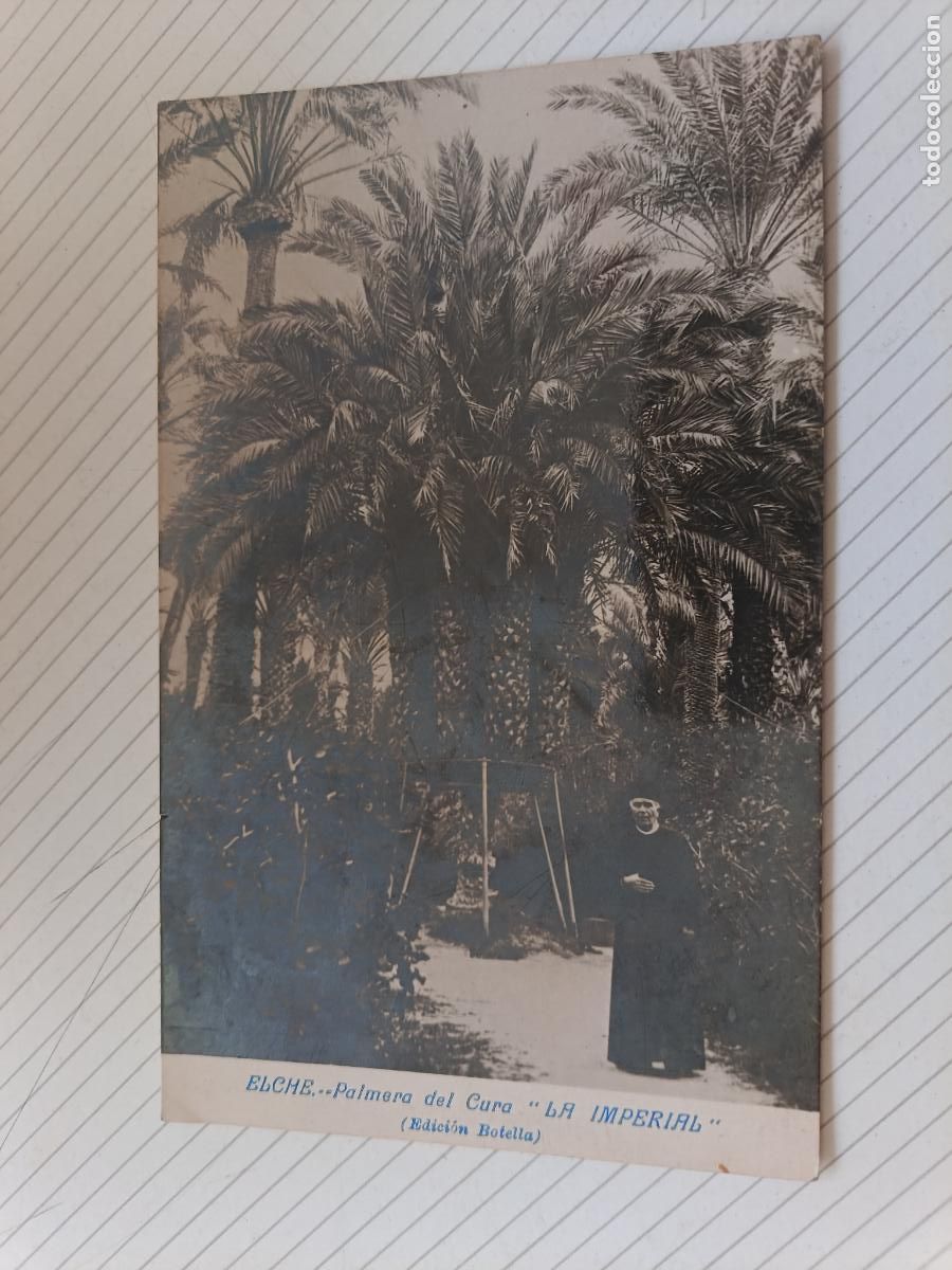 Postales: Elche, postal antigua