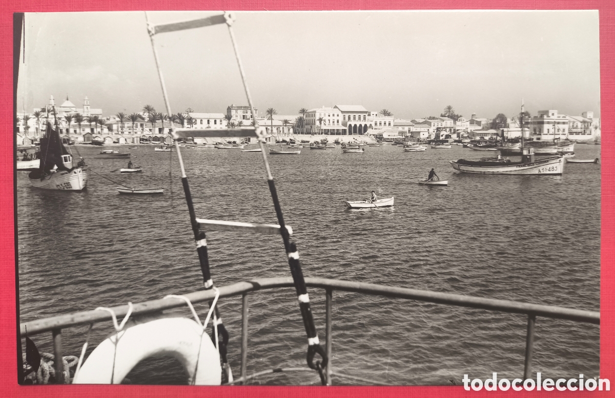 Postales: TORREVIEJA POSTAL FOTOGR&Aacute;FICA COSTA BLANCA ALICANTE ALACANT C. 1965