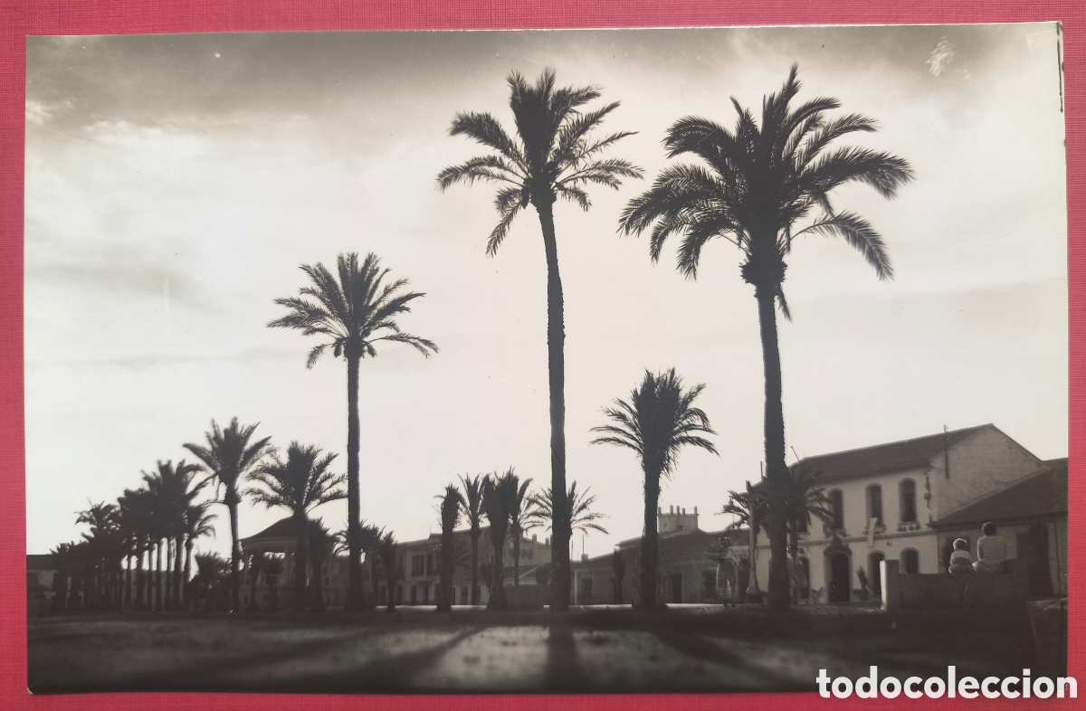 Postales: TORREVIEJA POSTAL FOTOGR&Aacute;FICA COSTA BLANCA ALICANTE ALACANT C. 1965