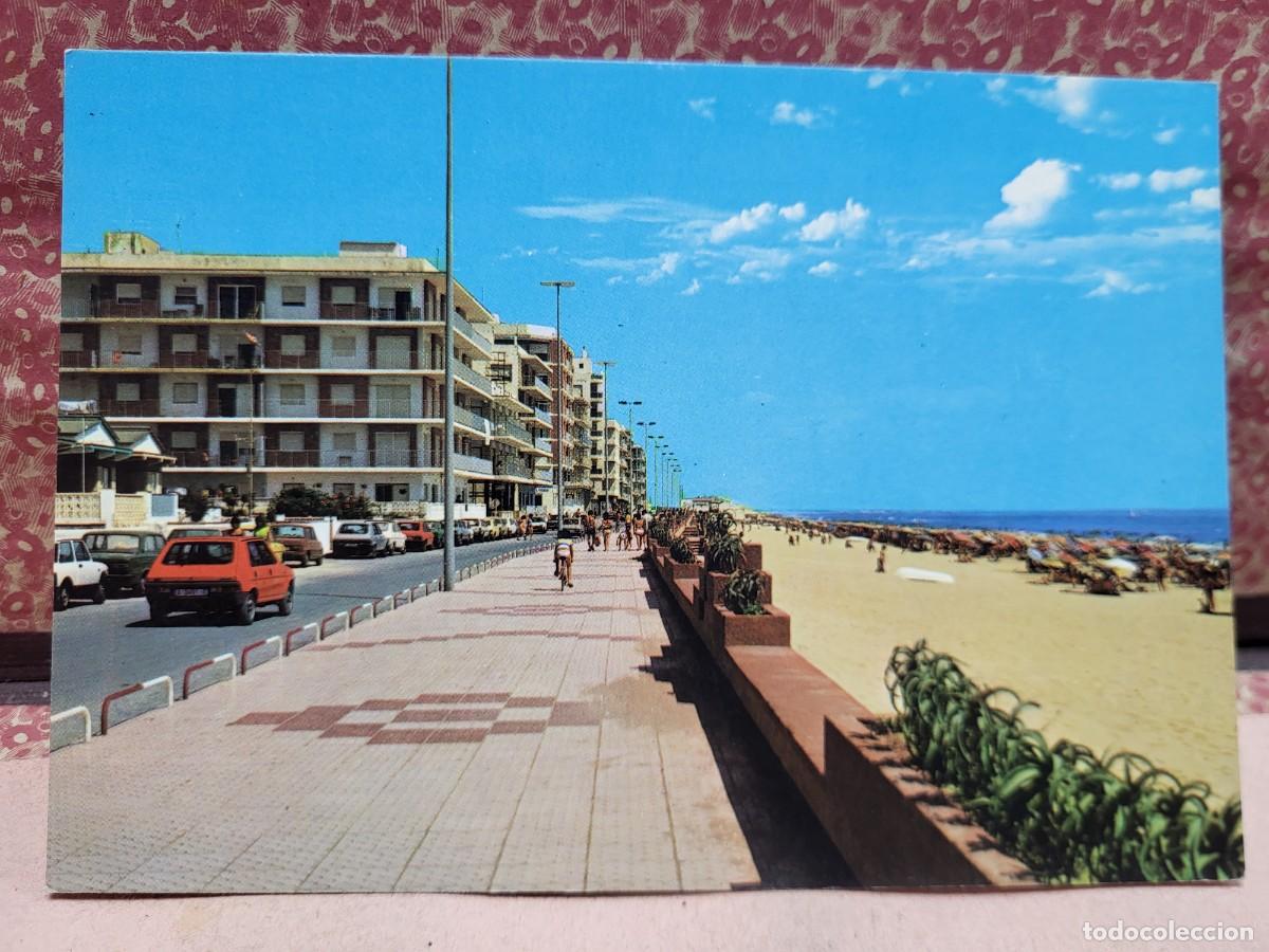 Postales: ANTIGUA POSTAL GUARDAMAR DEL SEGURA ALICANTE ARRIBAS 31