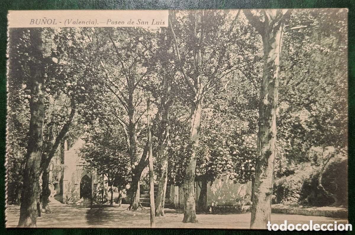 Postales: BU&Ntilde;OL. VALENCIA. PASEO DE SAN LUIS. EDICI&Oacute;N DE 1919.