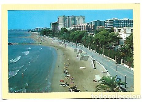 Postales: PASEO MARITIMO Y PLAYA.- BENICASIM / CASTELLON