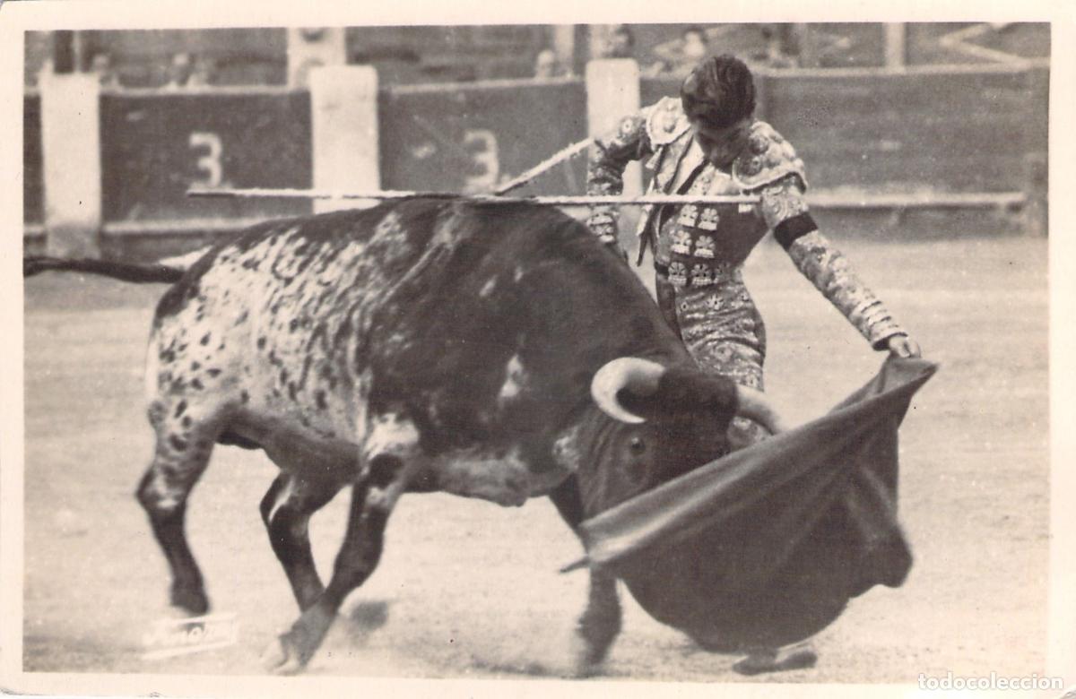 Postales: Tarjeta Postal Corrida de Toros Un Pase Natural Matador