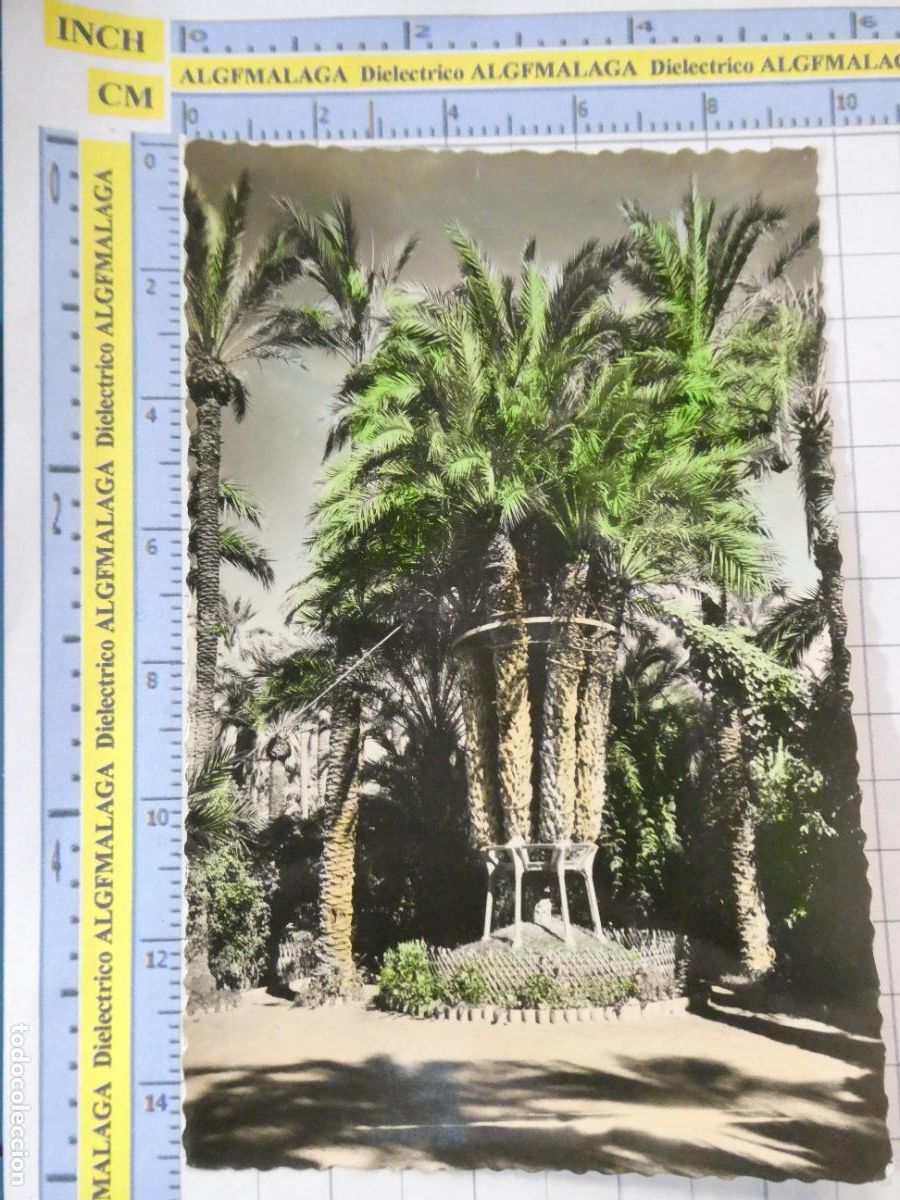 Postales: POSTAL DE ALICANTE. A&Ntilde;OS 30 50. ELCHE HUERTO DEL CURA 24 HUERTO. 1406