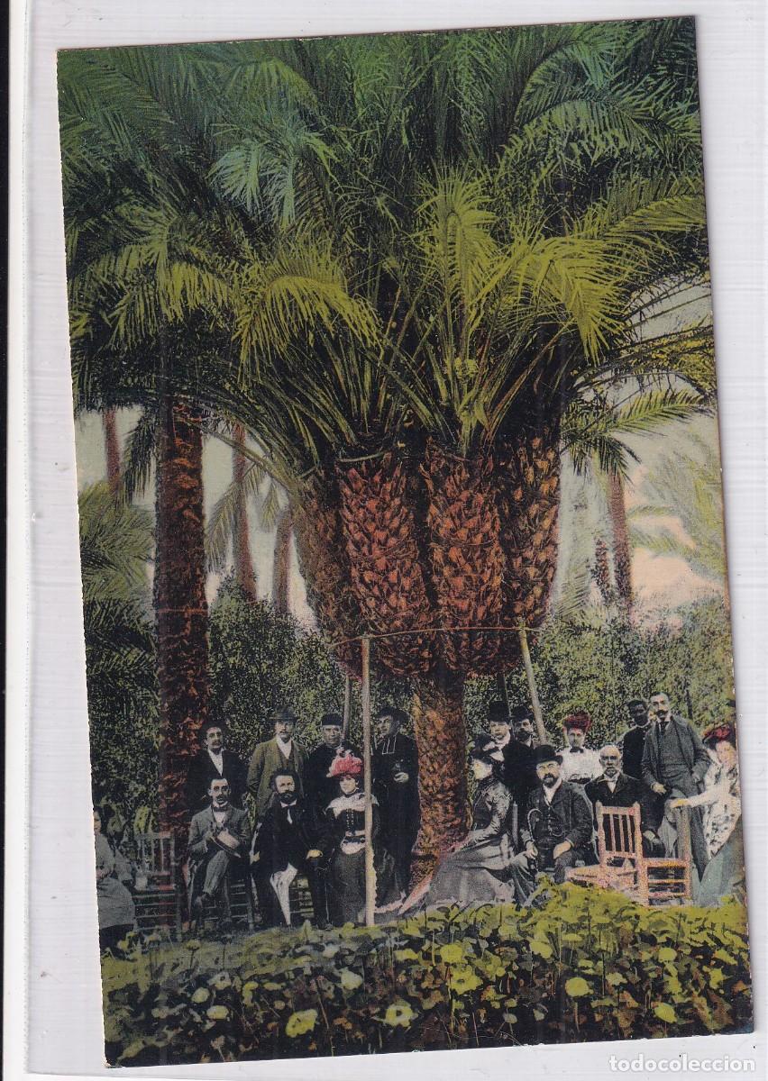 Postales: Elche Visita de D. Camilo a la palmera Imperial del Capell&aacute;n Casta&ntilde;o. Lampister&iacute;a de Ant&oacute;n