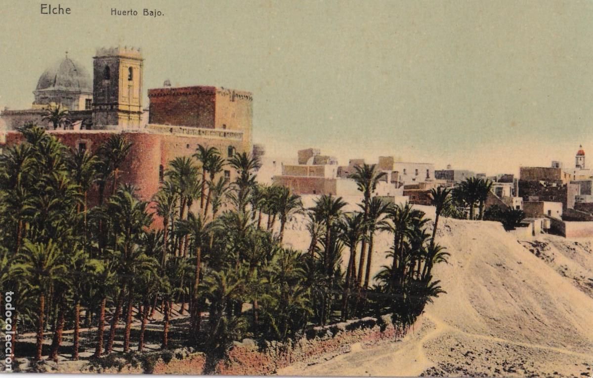 Postales: Elche Hueto Bajo. . Lampister&iacute;a de Ant&oacute;n. Sin circular.