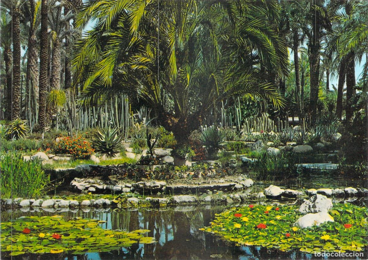 Postales: Postal de Elche, Huerto del Cura y Lago de la Rocalla
