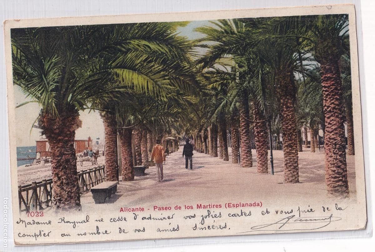 Postales: Alicante Paseo de los M&aacute;rtires (esplanada). 7022 Reverso sin dividir. Circulada a Francia.