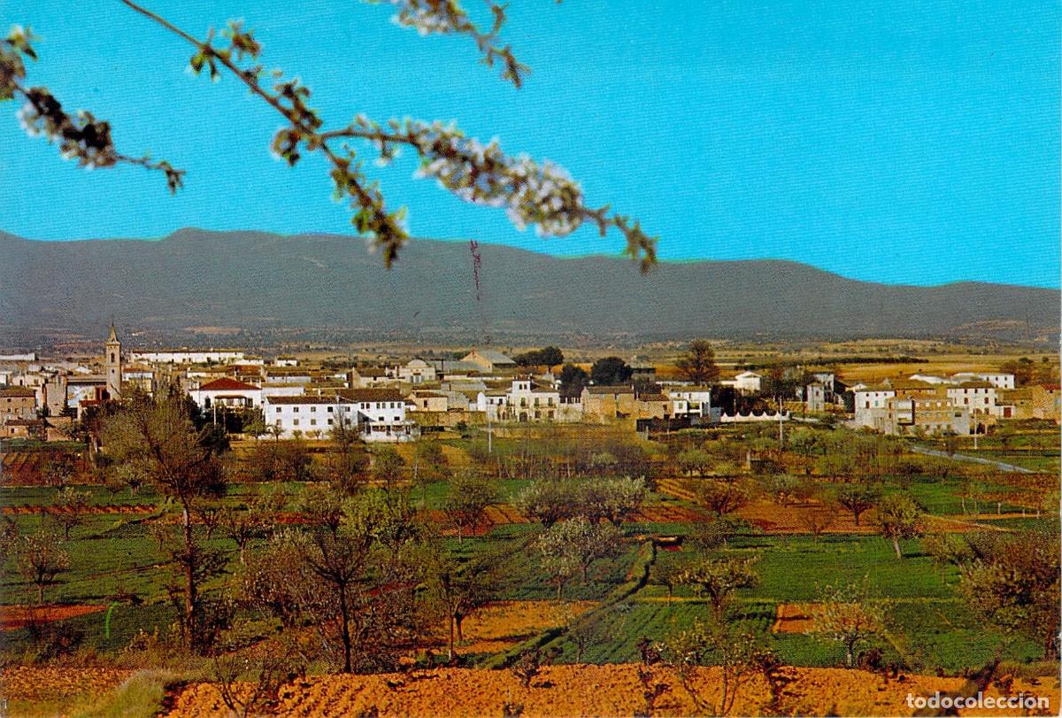 Postales: Postal de San Antonio, Requena, Valencia - Vista General de la Poblaci&oacute;n