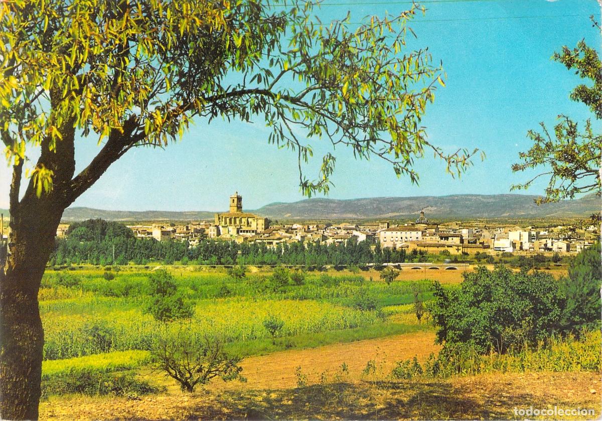 Postales: Postal de Utiel Vista General con Paisaje de Campos