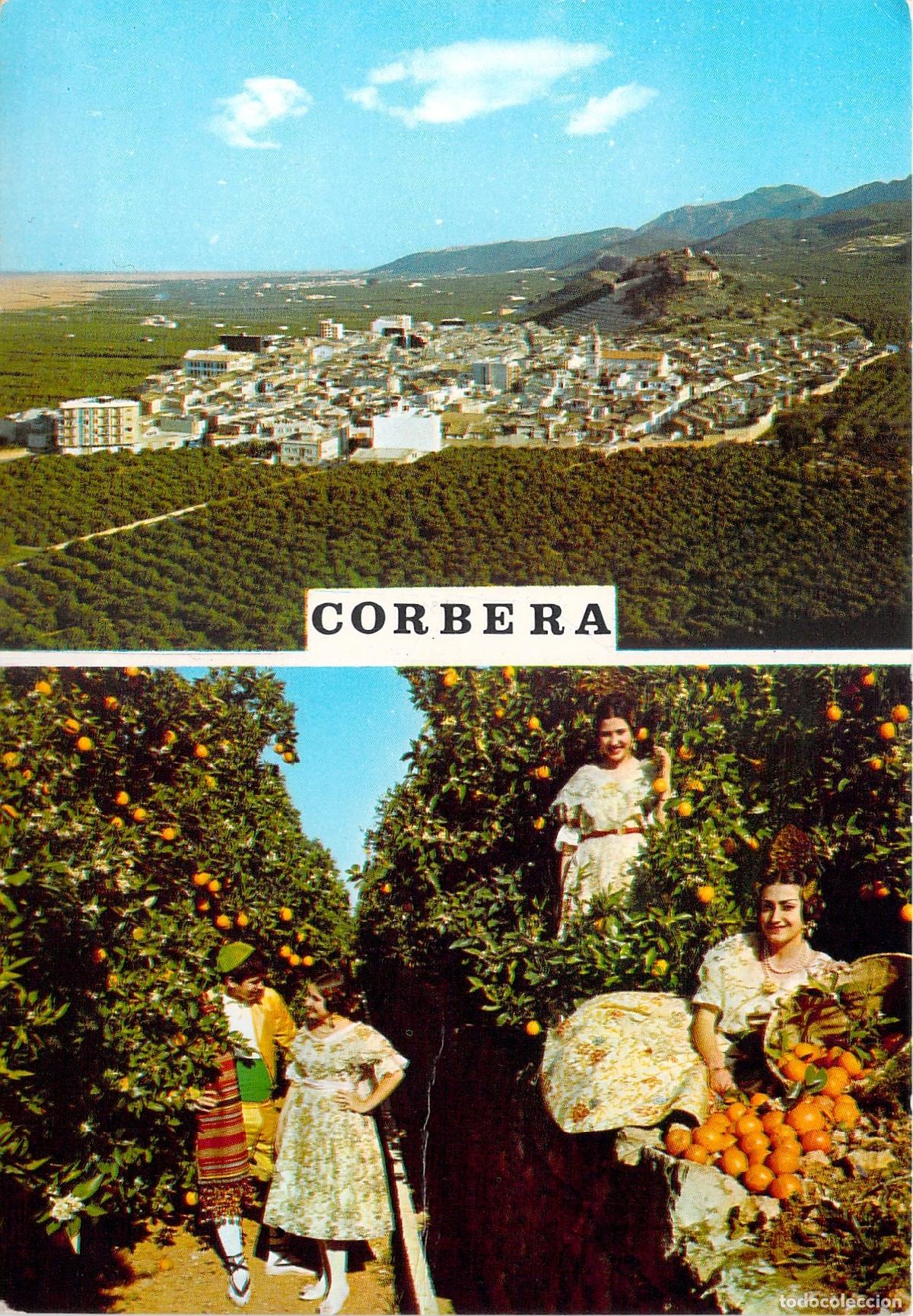 Postales: Postal de Corbera Valencia Vista Panor&aacute;mica y Recolecci&oacute;n de Naranjas