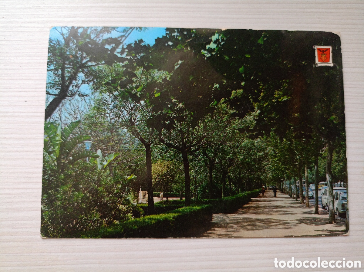 Postales: Valencia avenida Valencia al mar a&ntilde;os 60