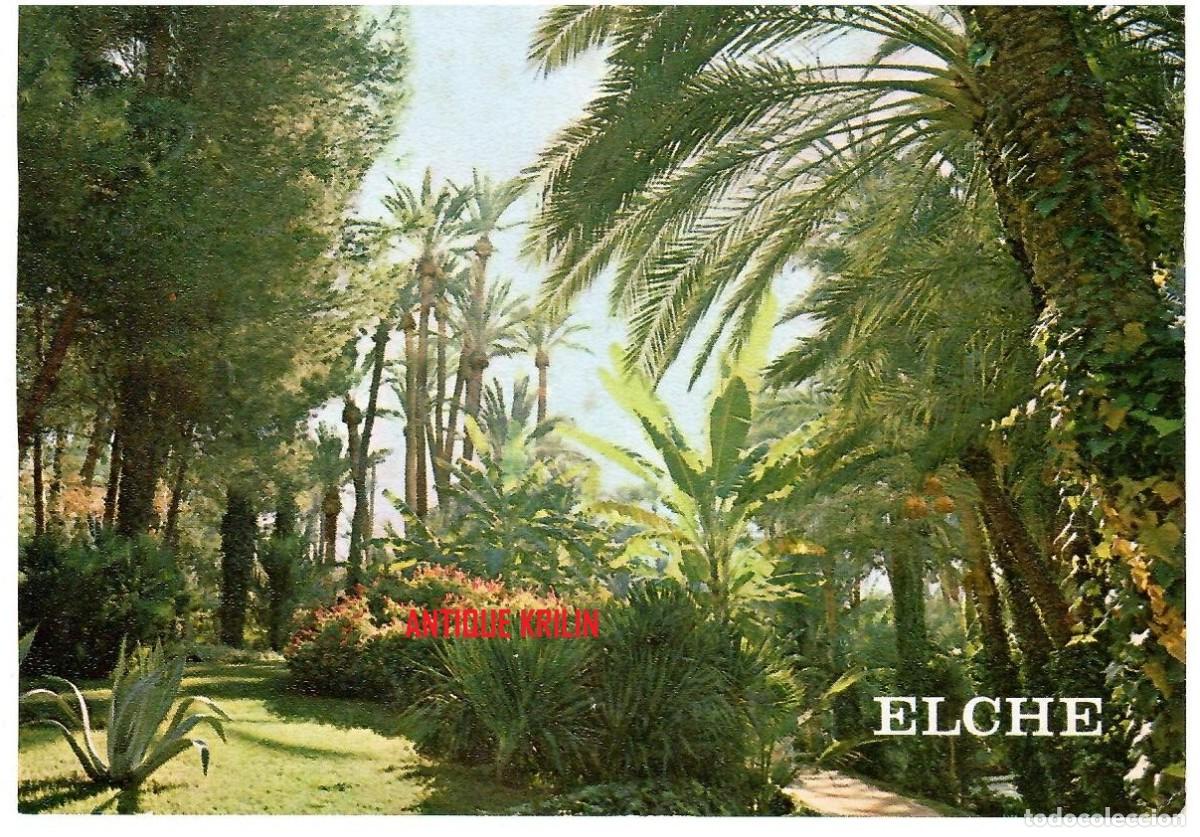 Postales: ELCHE / HUERTO DEL CURA / EDICION SEGARRA / SIN FRANQUEAR