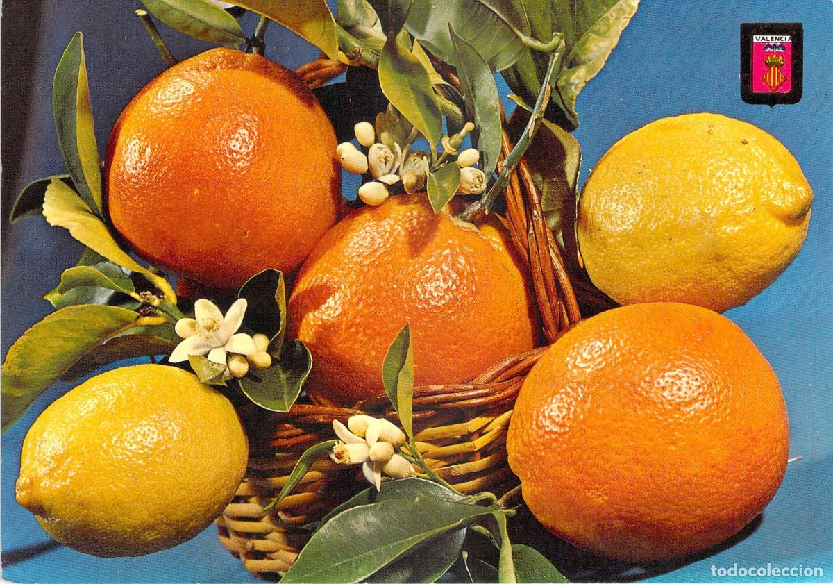 Postales: Postal de Valencia con Naranjas y Limones