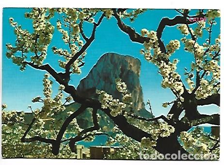 Postales: PE&Ntilde;ON DE IFACH A TRAVES ALMENDRO EN FLOR.- CALPE / ALICANTE