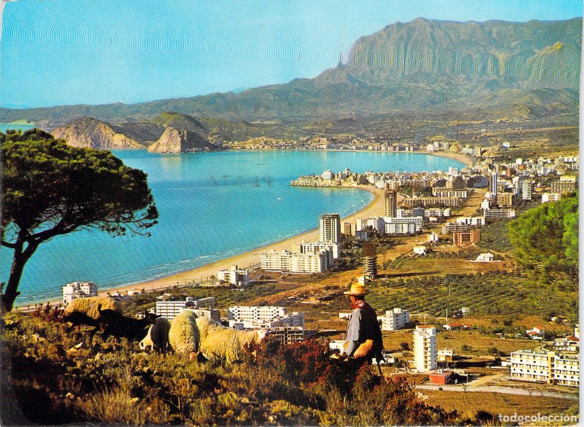 Postales: Postal de Benidorm Vista Panor&aacute;mica con Pastor y Ovejas