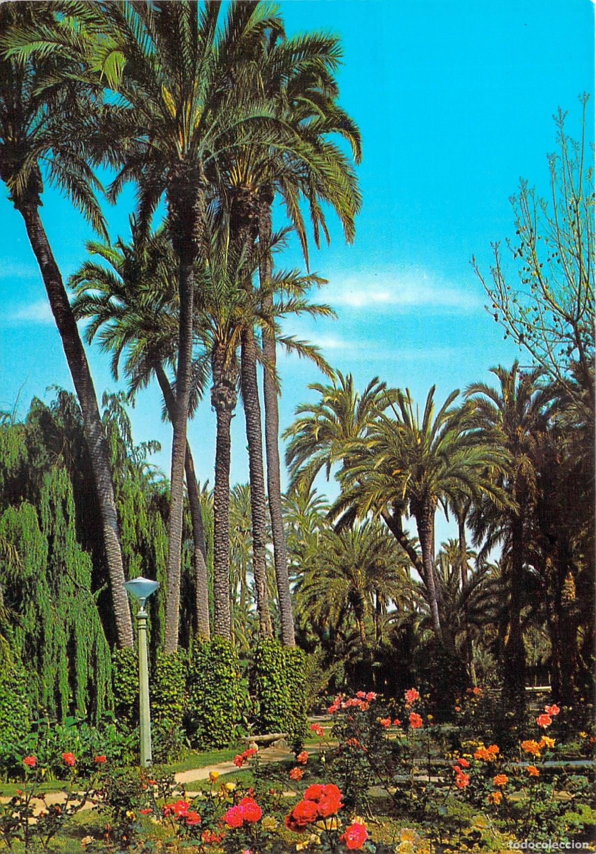 Postales: Postal de Elche, Parque Municipal y Rosaleda con Palmeras