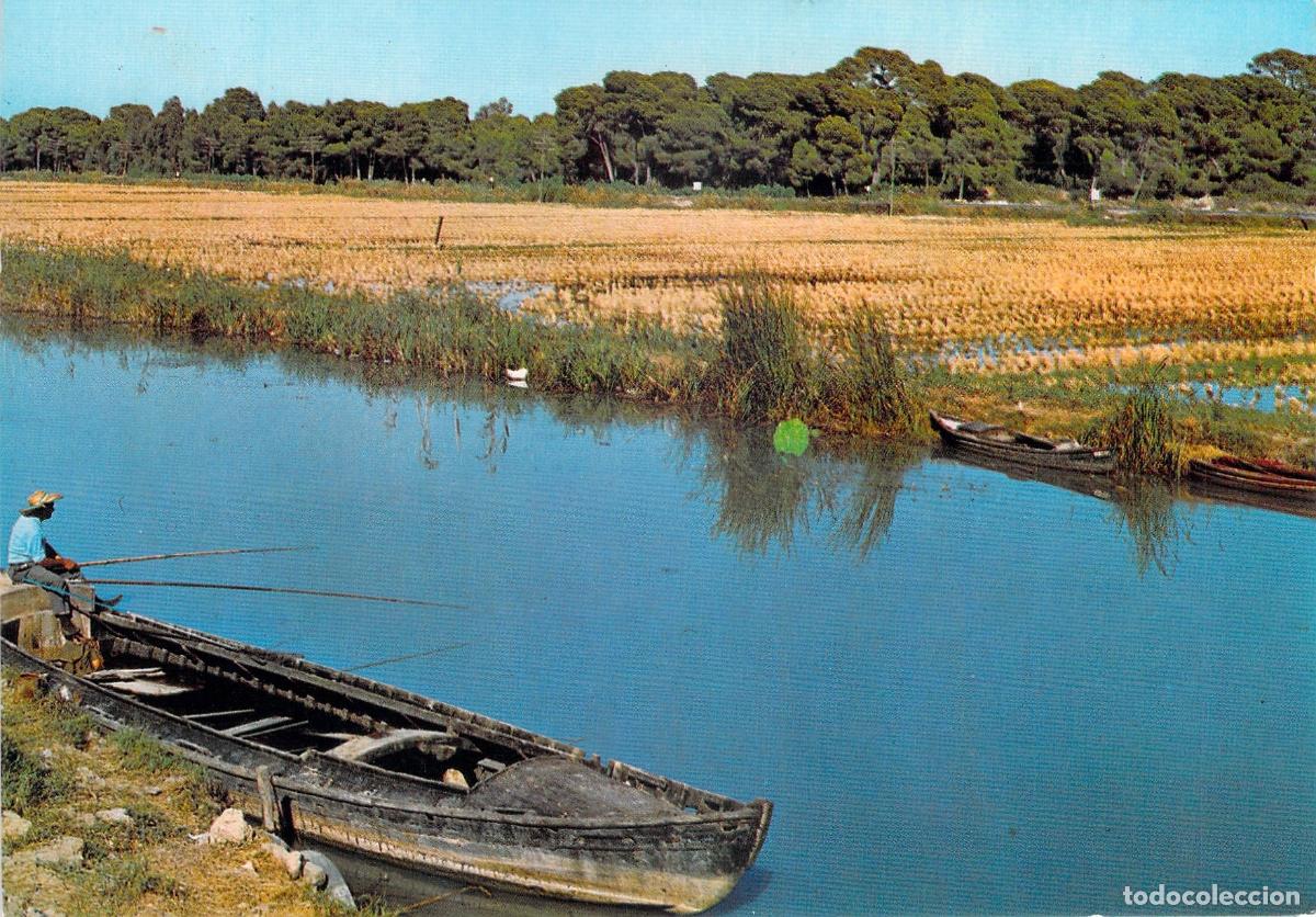 Postales: Postal El Saler Canal de La Albufera Valencia Barca de Pesca