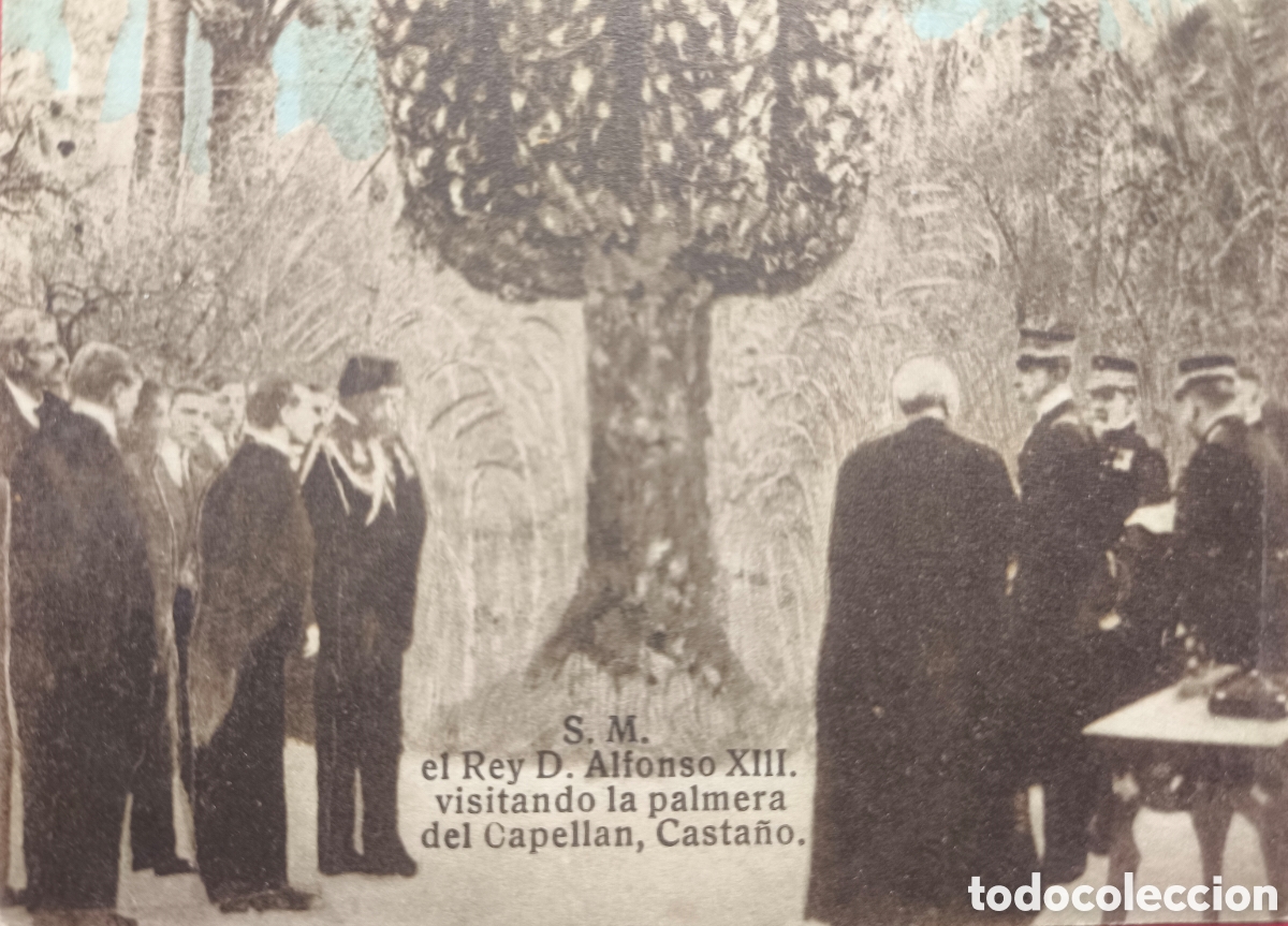 Postales: ALFONSO XIII VISITA PALMERA IMPERIAL POSTAL COLOREADA FOTOTIPIA ELX ALACANT C. 1915