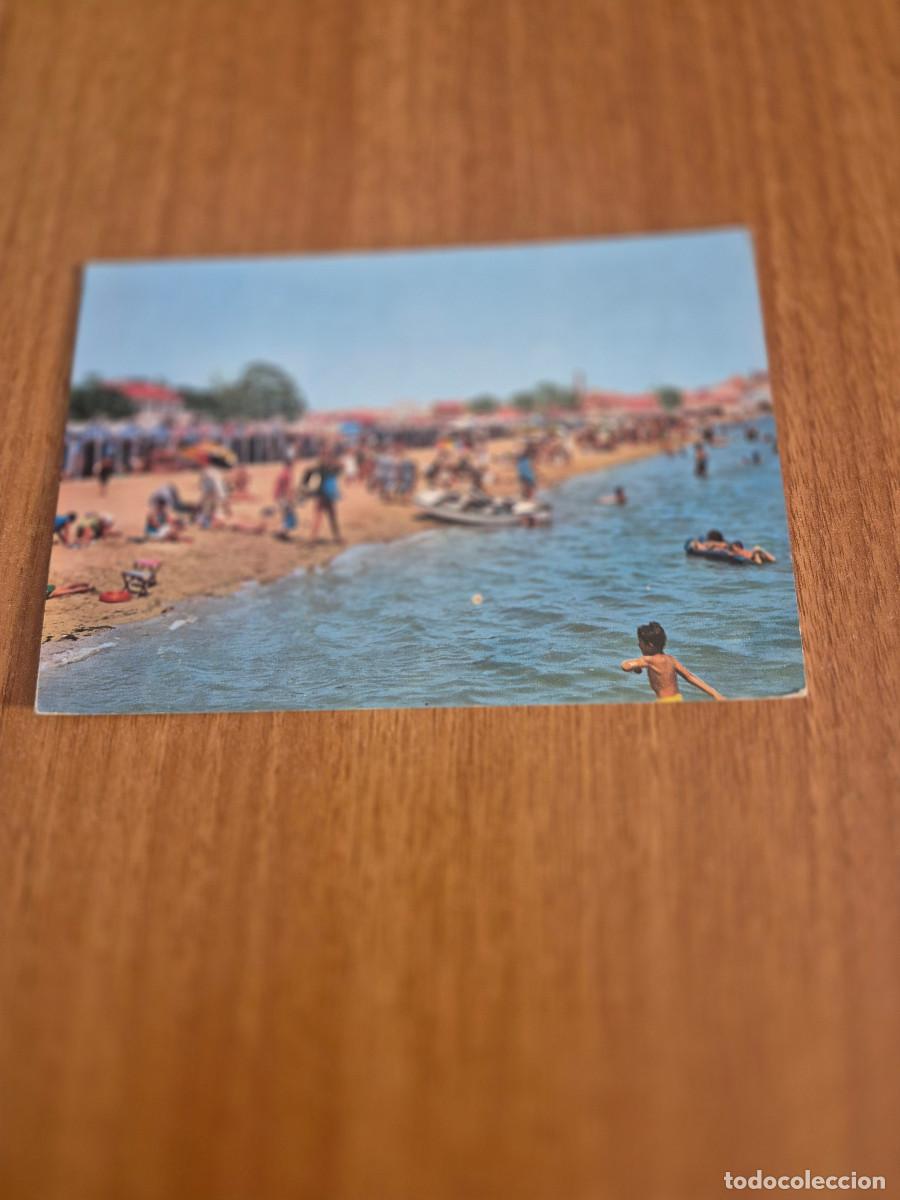Postales: POSTAL, TORREVIEJA (ALICANTE) PLAYA CIRCULADA.