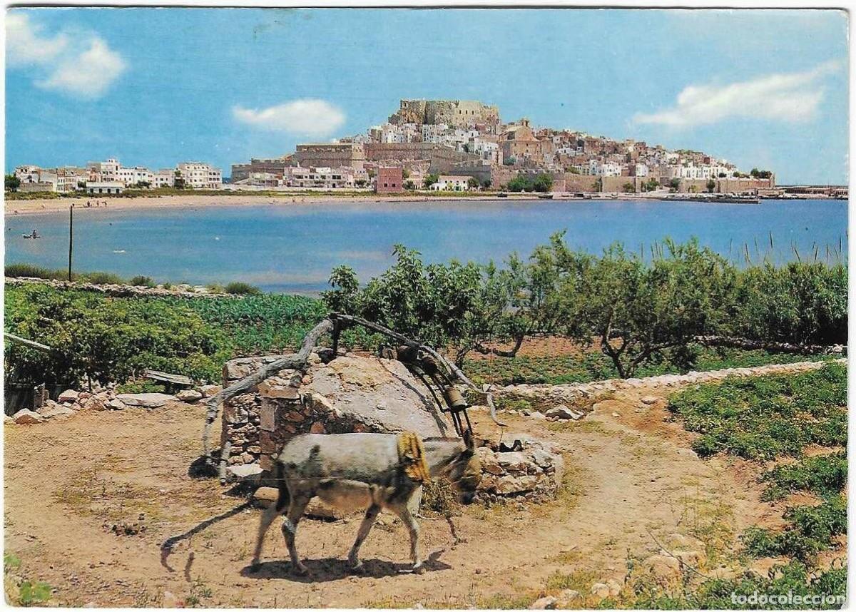 Postales: Pe&ntilde;&iacute;scola. Castell&oacute;n. La noria y vista general