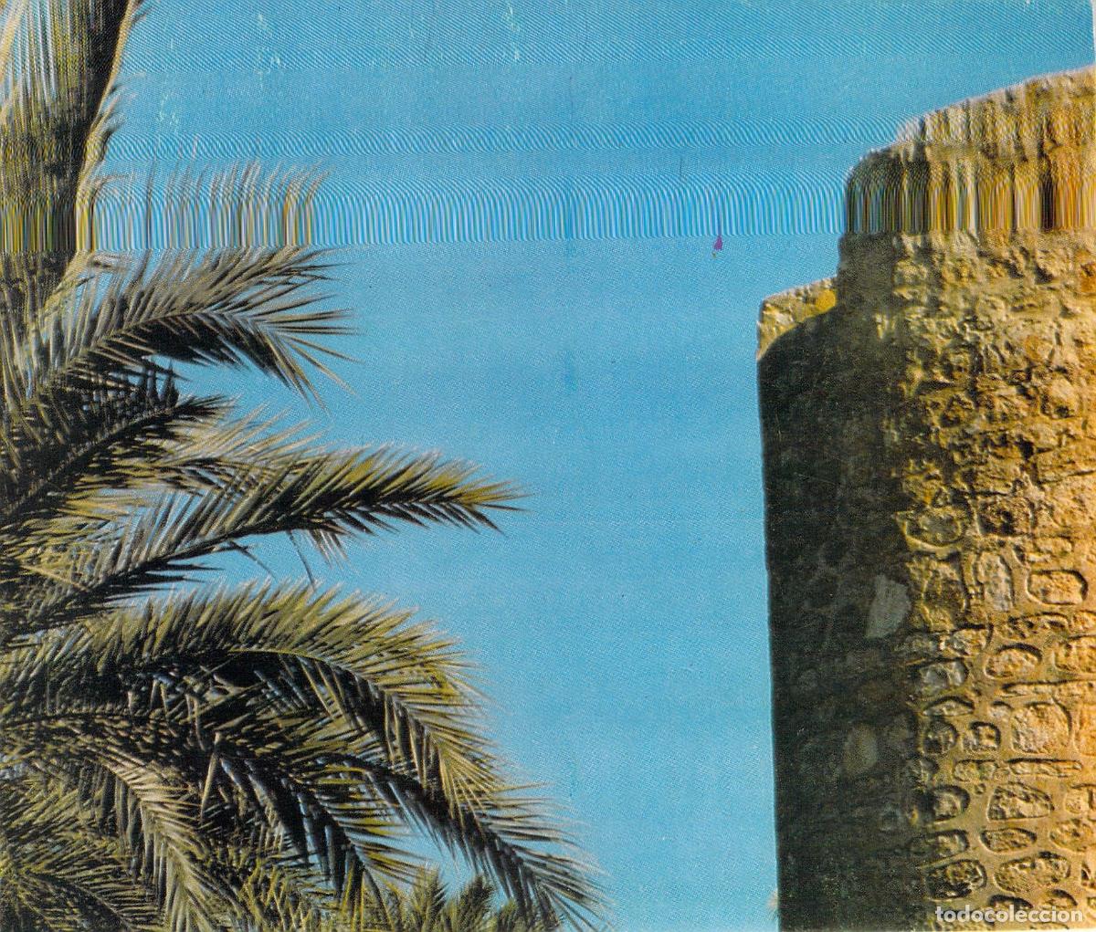 Postales: Postal de Elche Palmeral de Europa con Torre y Palmera