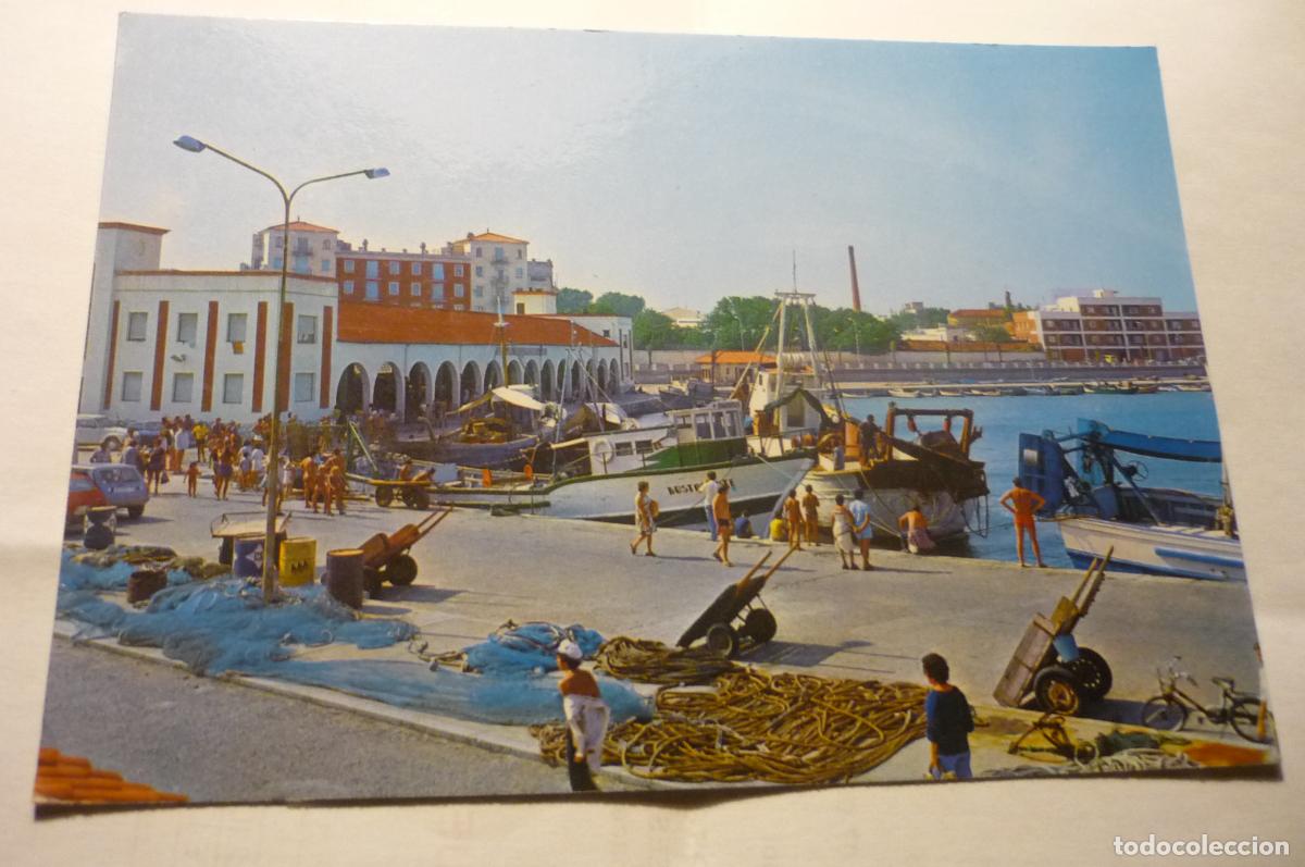 Postales: postal benicarlo parcial puerto circulada